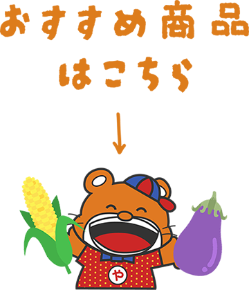 おすすめ商品はこちら